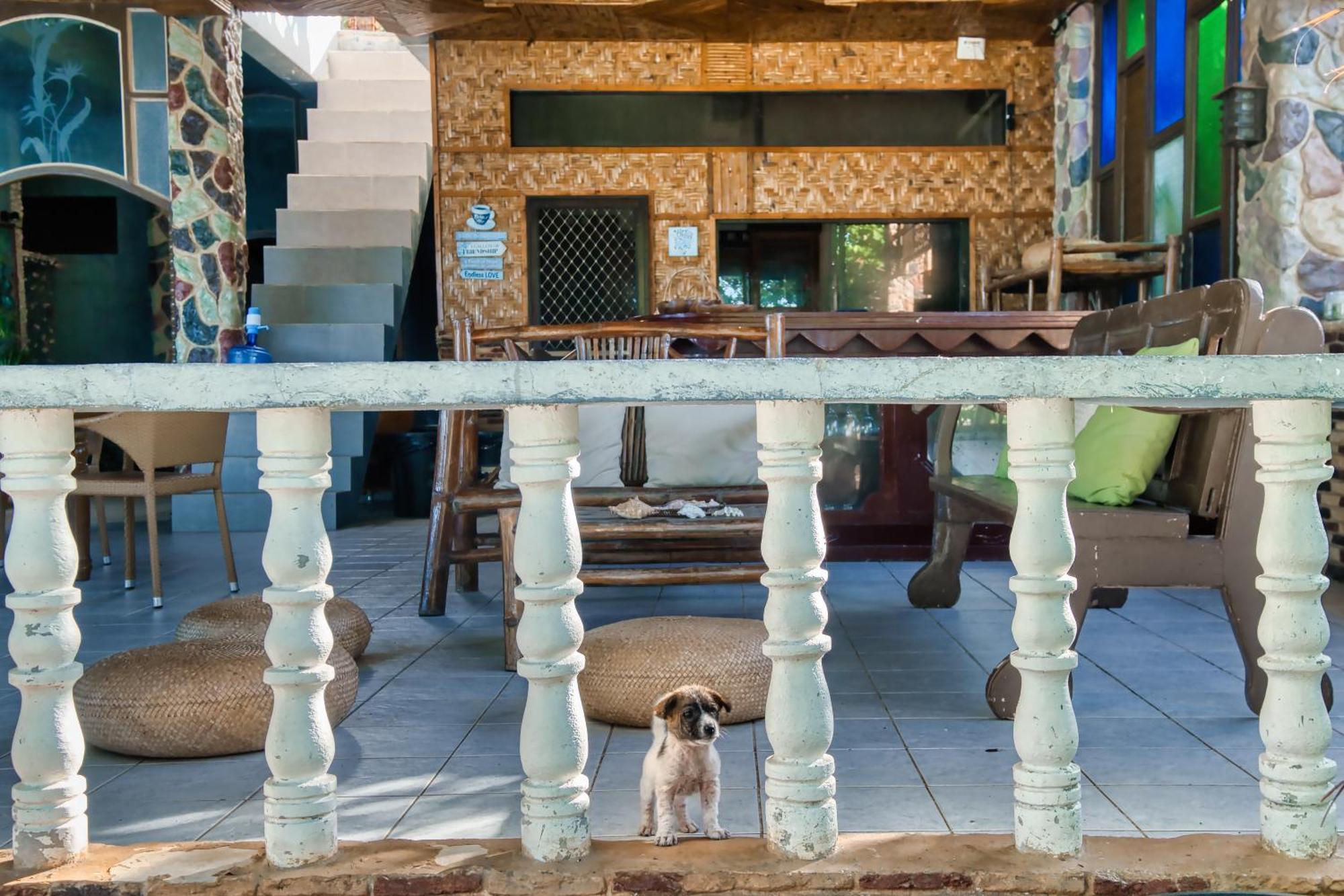 Pilar Pilapil Beach Resort Daanbantayan Luaran gambar